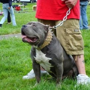 Meet your Posher, Caleb